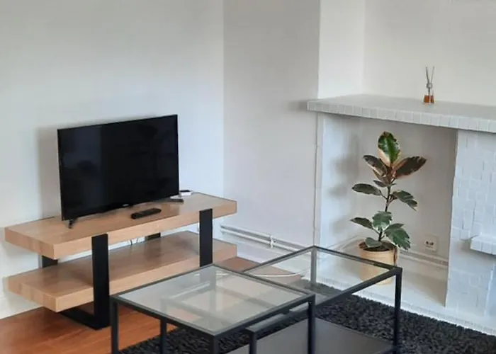 Centre Proche Gare Apartment